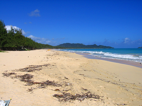 Waimanalo BeachQ