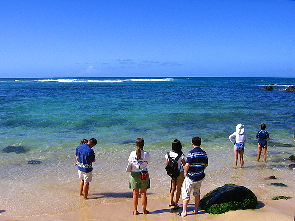 Laniakea Beach