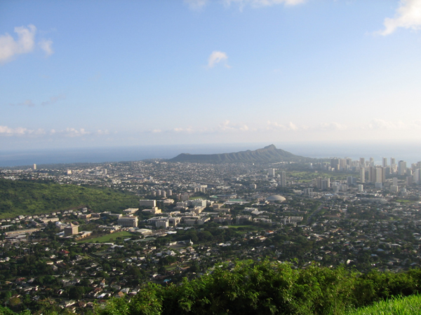 Voggy　Honolulu Sky